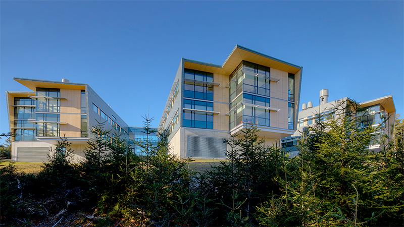 Low angle view of Bigelow Laboratory.