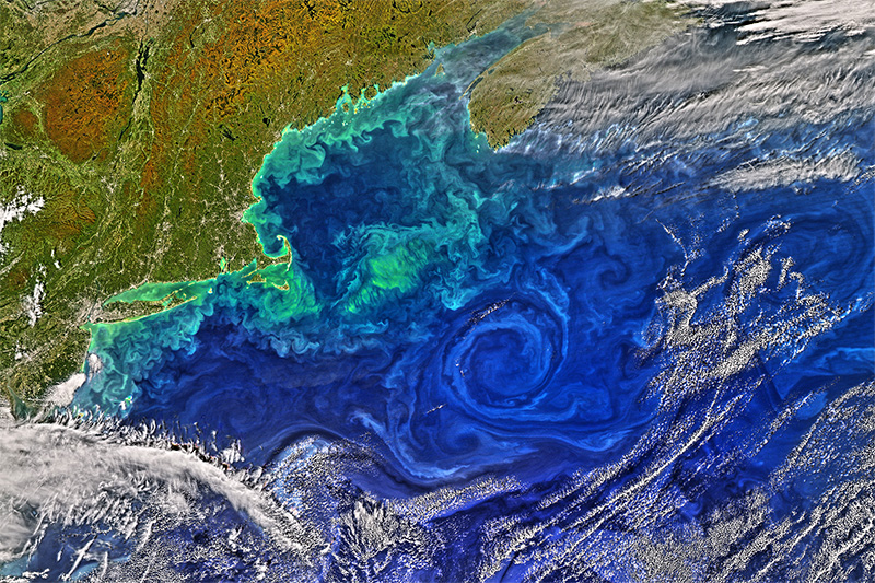NOAA Image of the Gulf of Maine.