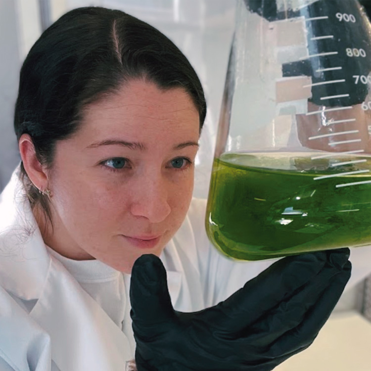 Microalgae and Seaweed