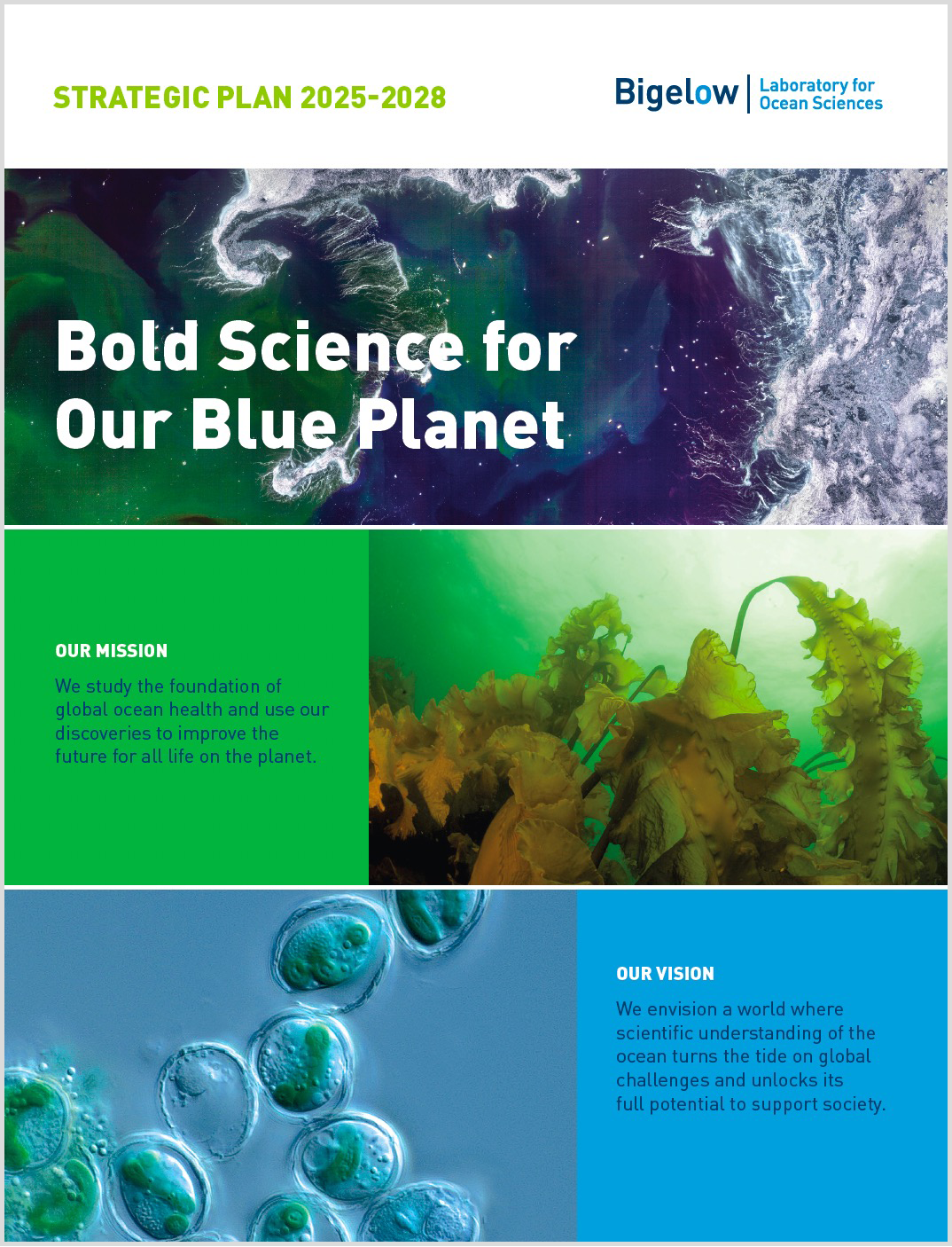 2025-2028 Strategic Plan Bigelow Laboratory for Ocean Sciences