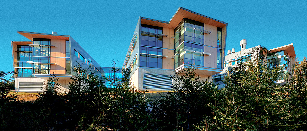 About Bigelow Laboratory for Ocean Sciences Bigelow Laboratory for