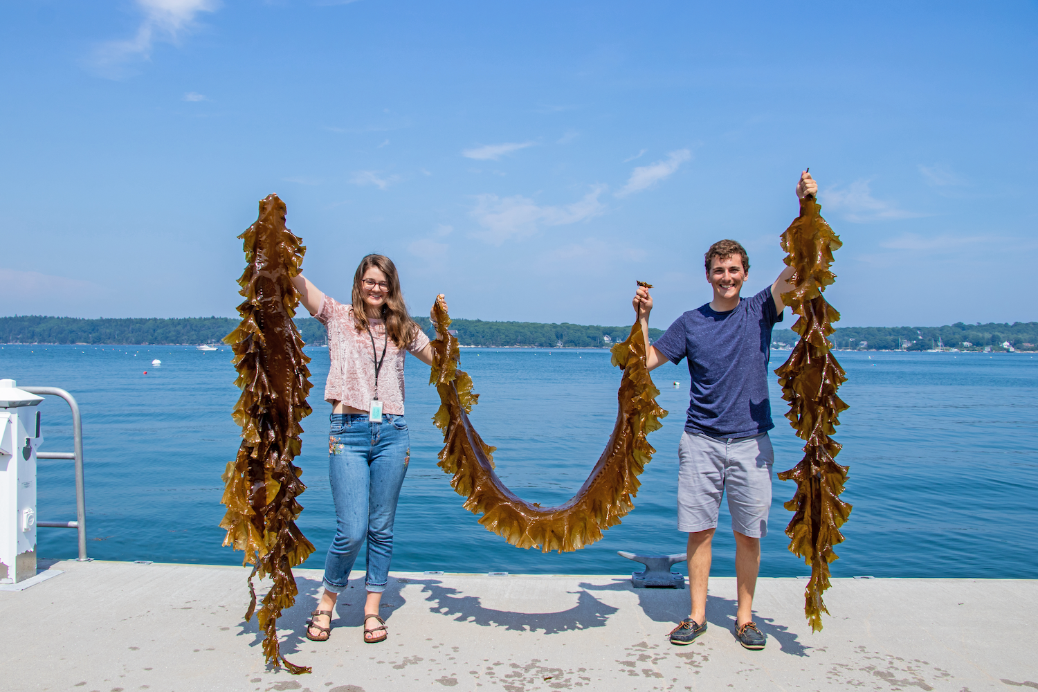 Two students on dock holding seaweed.