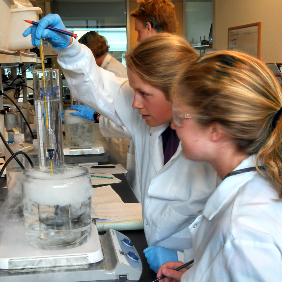 Two scientists in the lab.