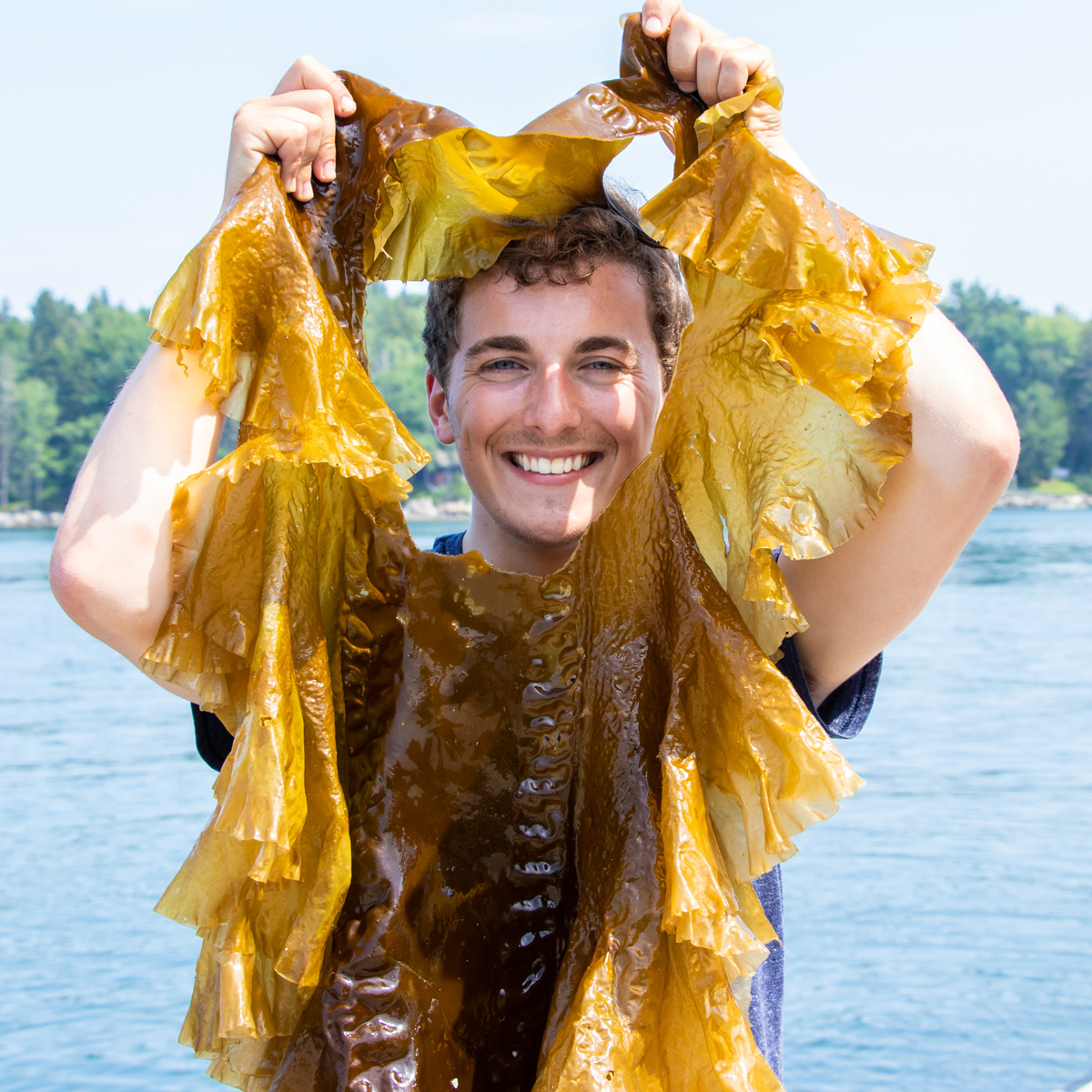 Shane Farrell holding kelp