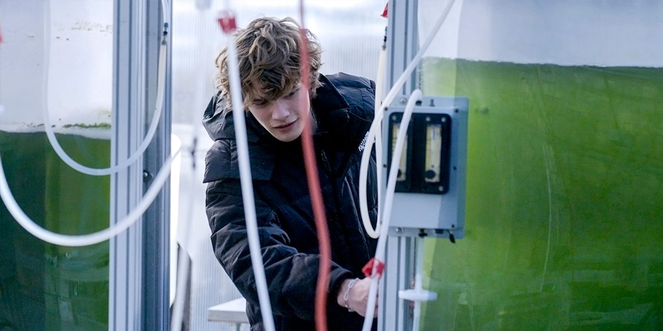 Colby College Jan Plan student studies microalgae in Bigelow Laboratory greenhouse