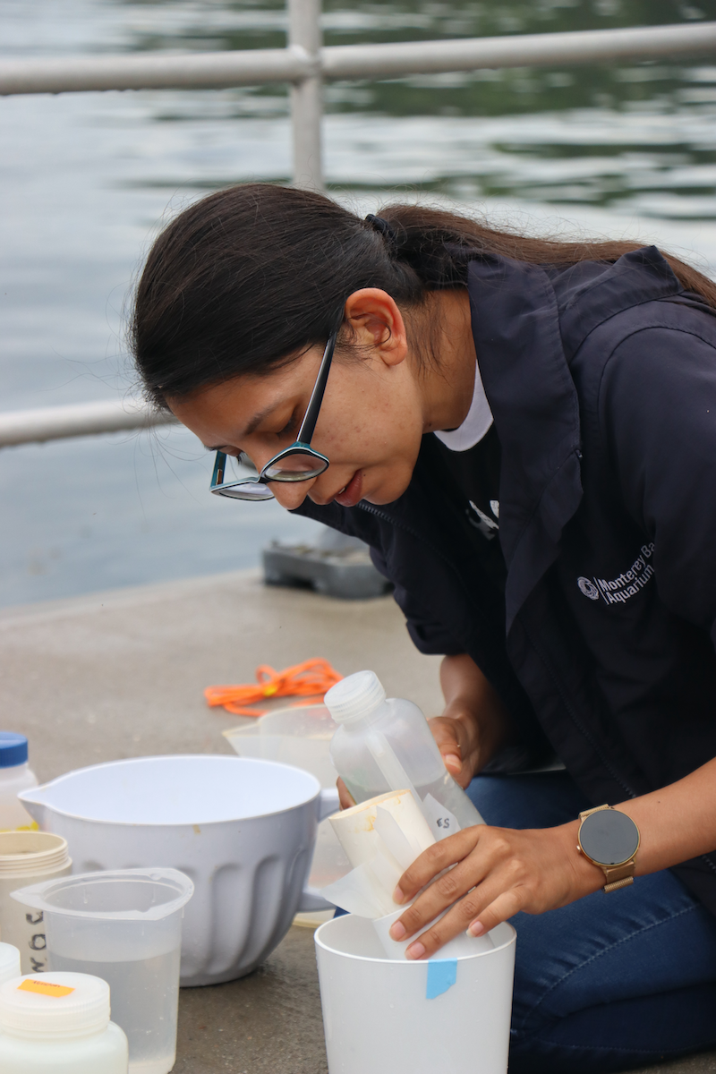 Science intern preparing water sample