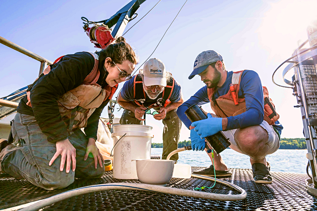 Students and instructor observing seawater sample