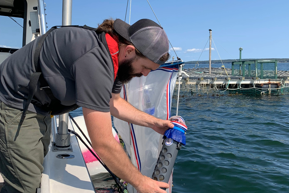 Postdoc, Dave Ernst, gathering data at a mussel farm.