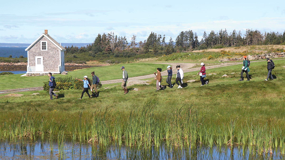 Semester students exploring Allen Island