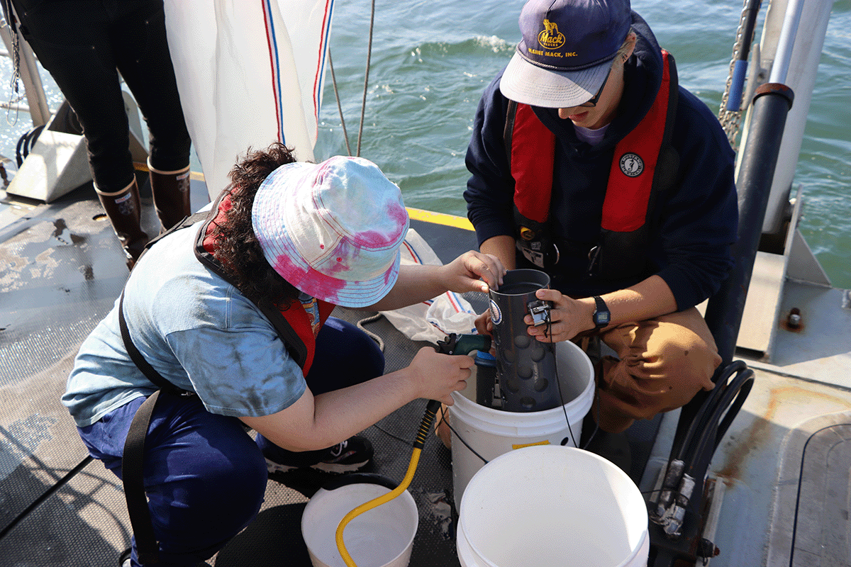 Semester students on a research cruise