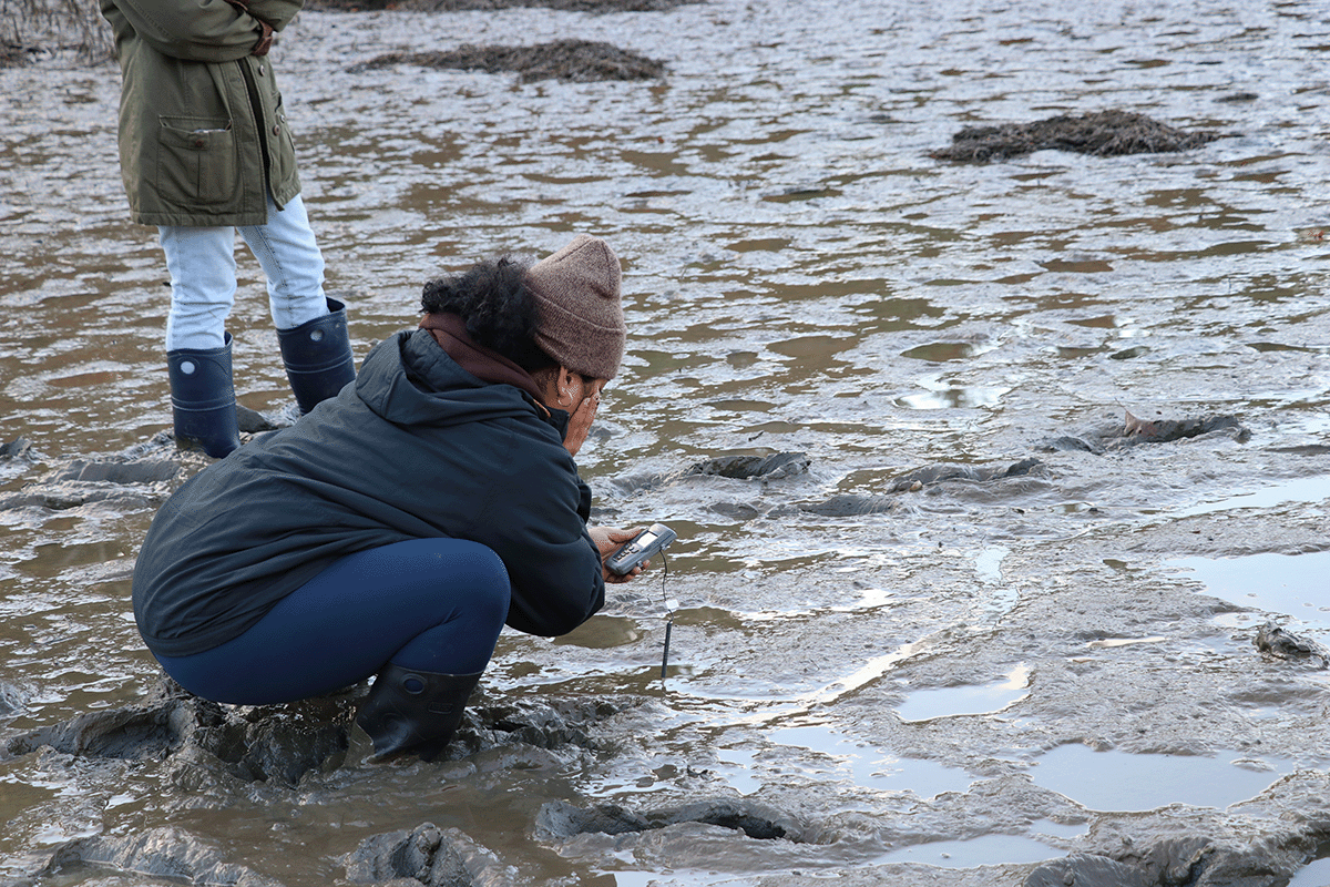 SBigelow semester student analyzing the sediment of Edgecomb Eddy