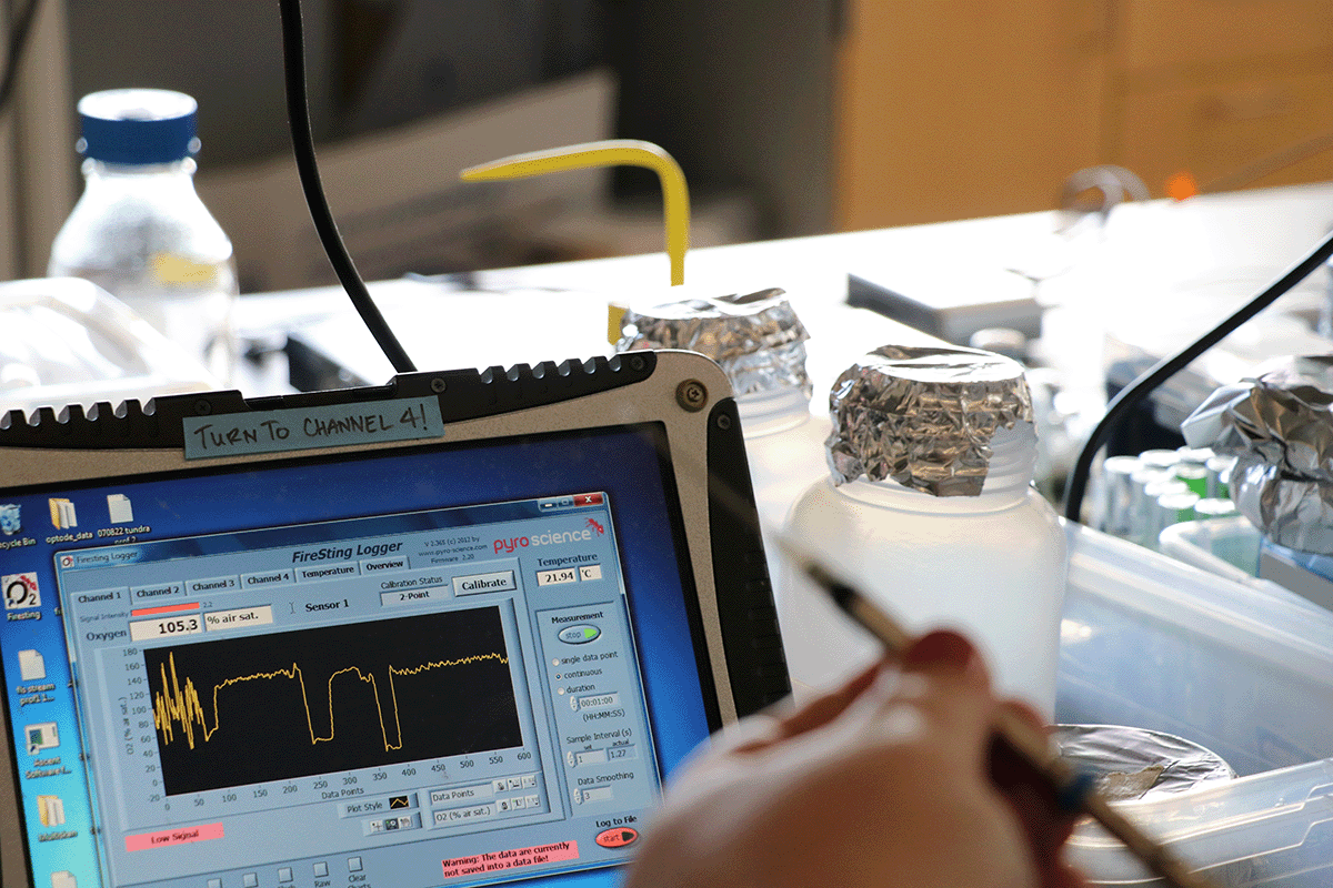 analysis readout on the screen of an instrument