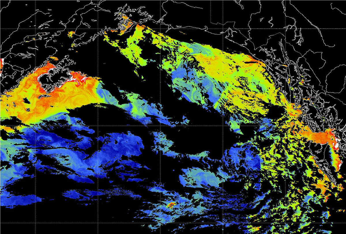 Senior Research Scientist Beth Orcutt on a congressional panel on deep-sea mining