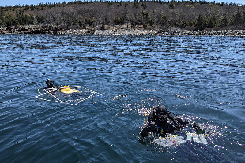 Shane Farrell and Dara Yiu dive off of Allen Island, Maine