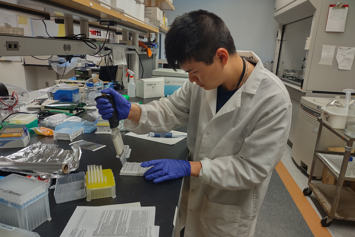 Dennie Truong, a recent Colby College graduate, participant in the Bigelow Laboratory Sea Change Semester program, and the study’s lead author