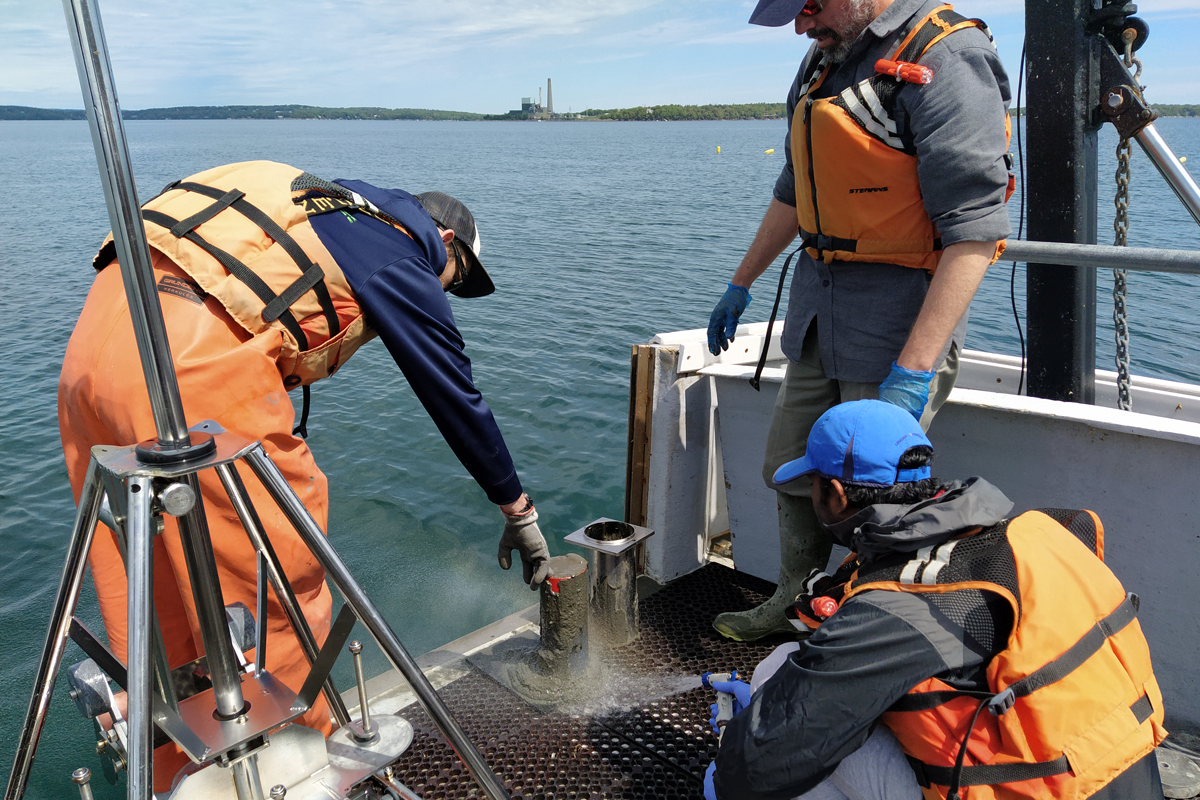 The research team extracted a sediment core from below a commercial kelp farm