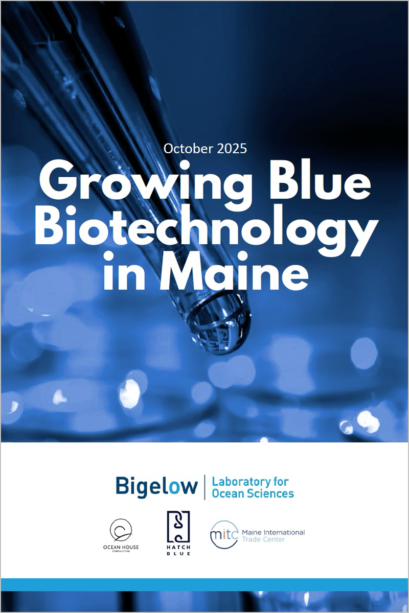 Click here to view Bigelow Laboratory's report on Blue Biotechnology in Maine