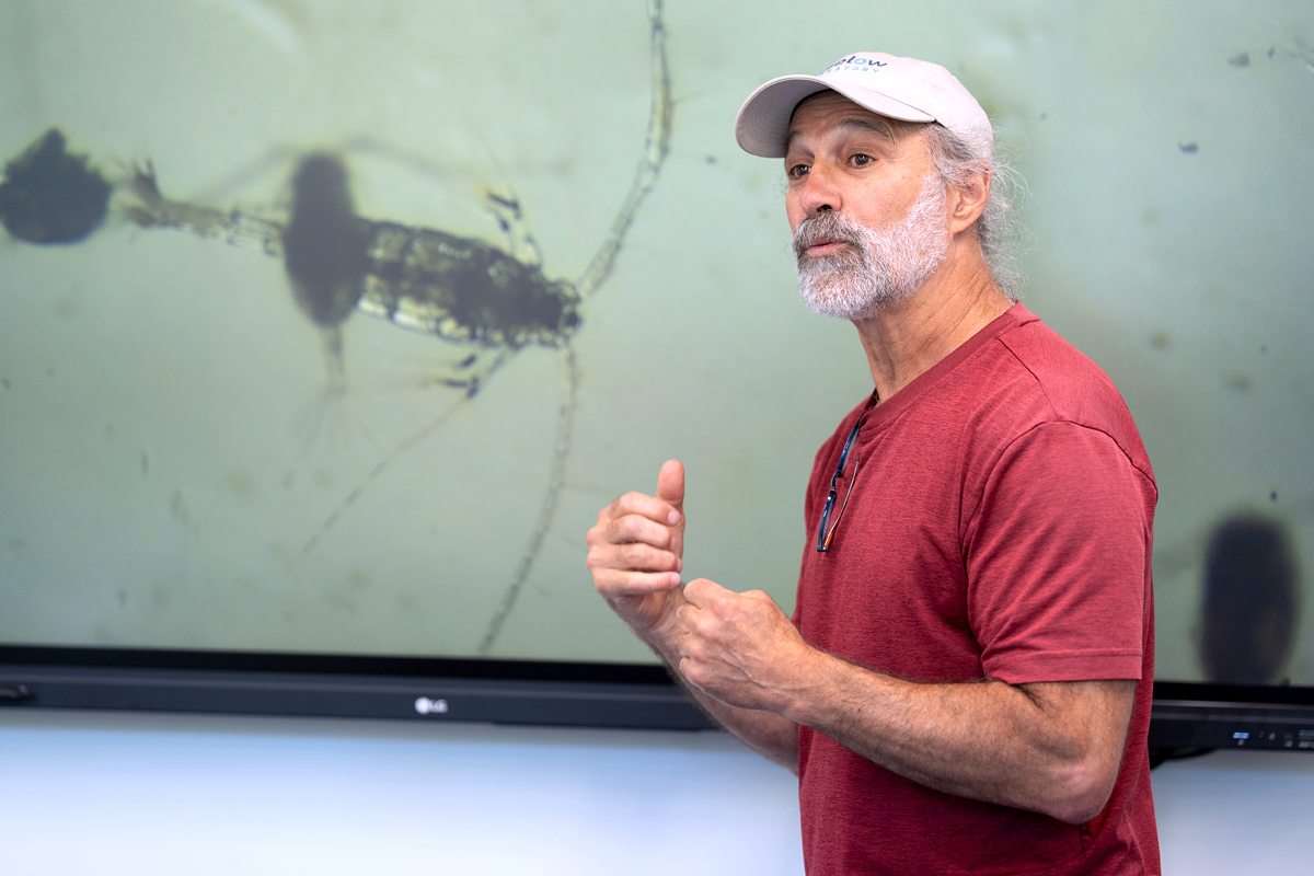 Senior Research Scientist David Fields