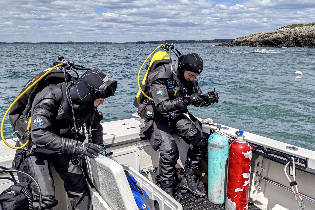 Members of the lab dive to collect ecological data