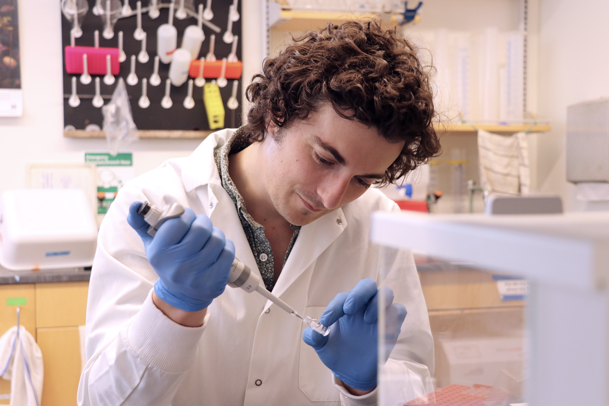Shane Farrell examines algae samples in Bigelow Laboratory