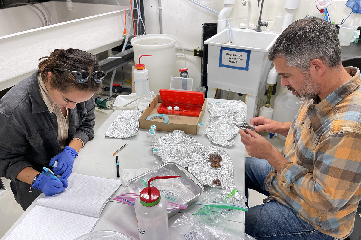 Dara Yiu and Doug Rasher catalog samples