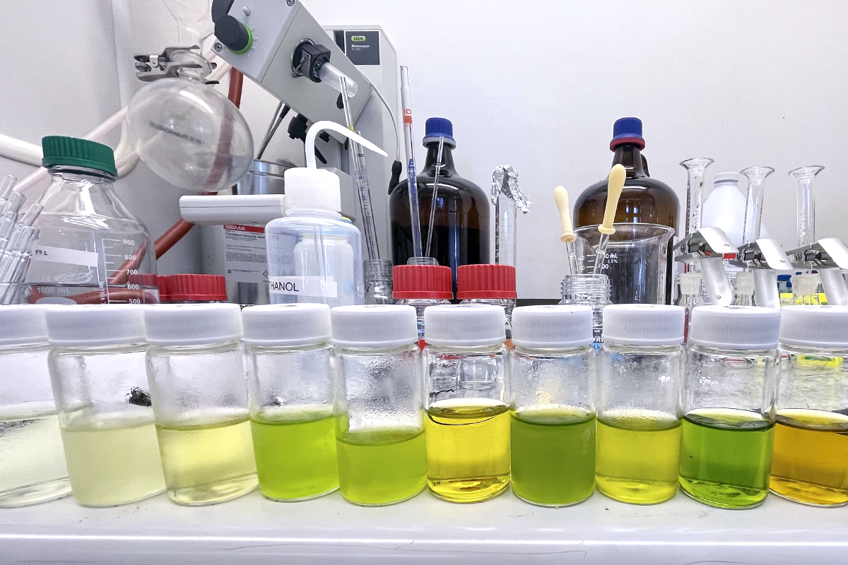 Vials of internal chemistry extracted from seaweed tissue