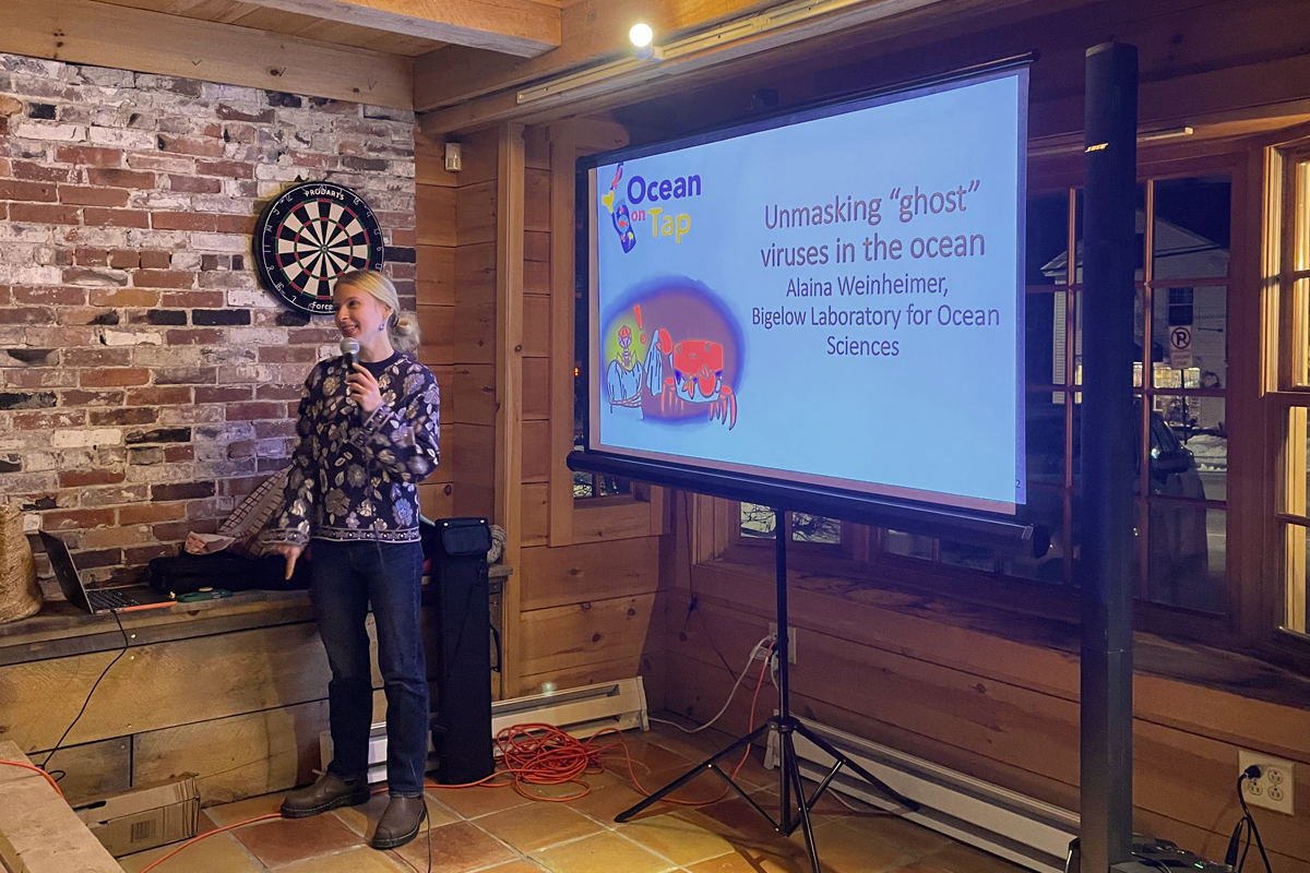 Ocean on Tap in Wiscasset