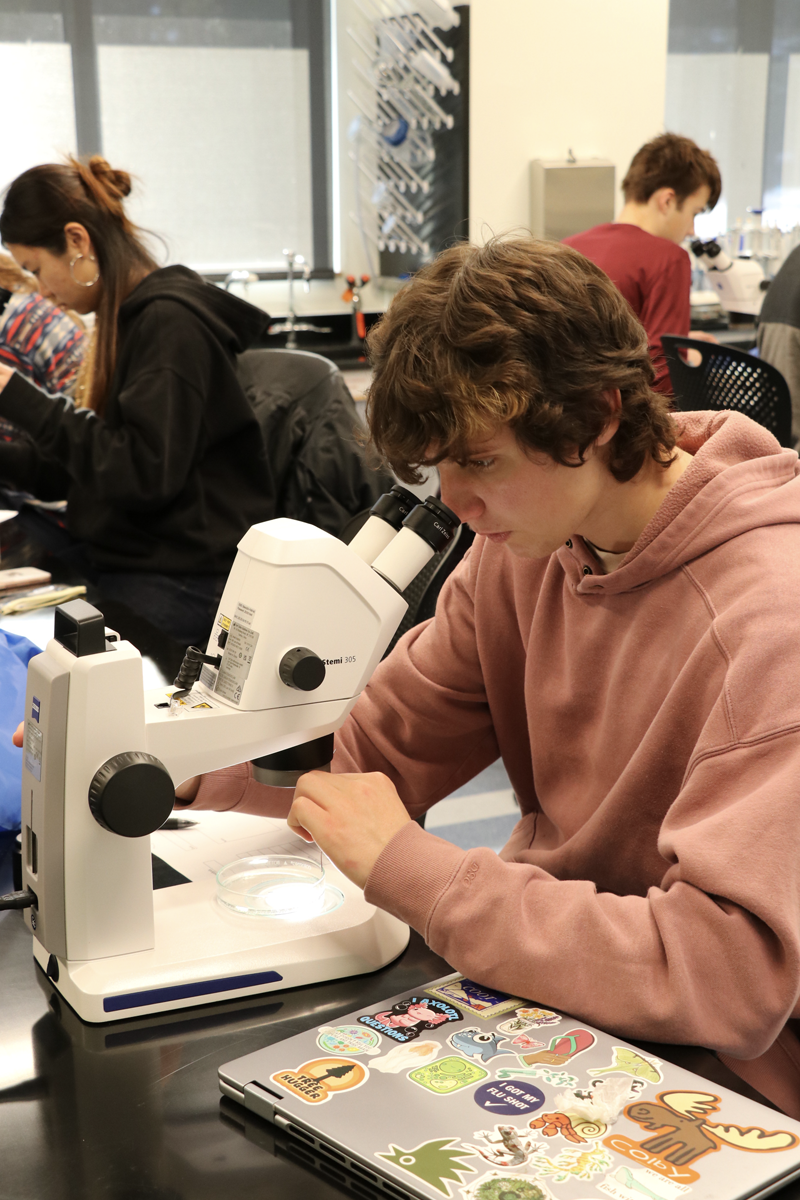 Jan Plan course at Bigelow Laboratory