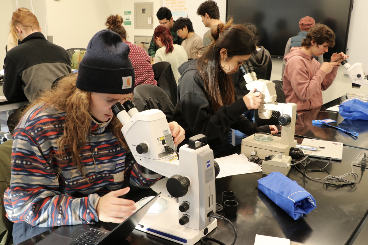 Jan Plan course at Bigelow Laboratory