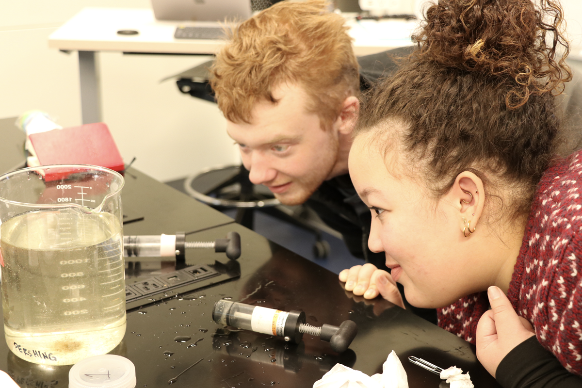 Jan Plan course at Bigelow Laboratory