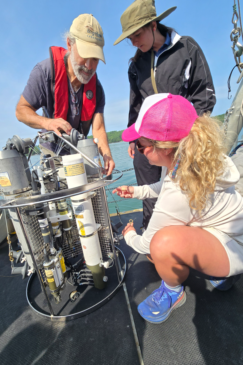 BLOOM Educators cruise