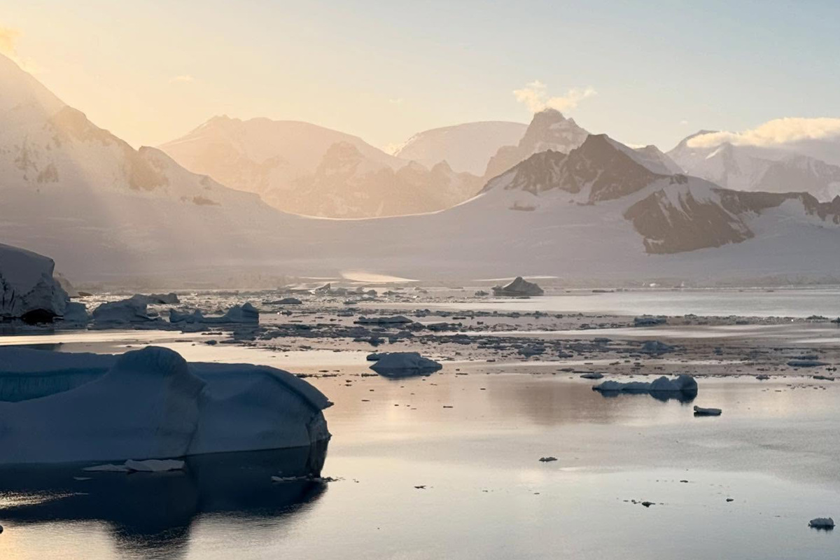 Icebergs in the waters around Antarctica