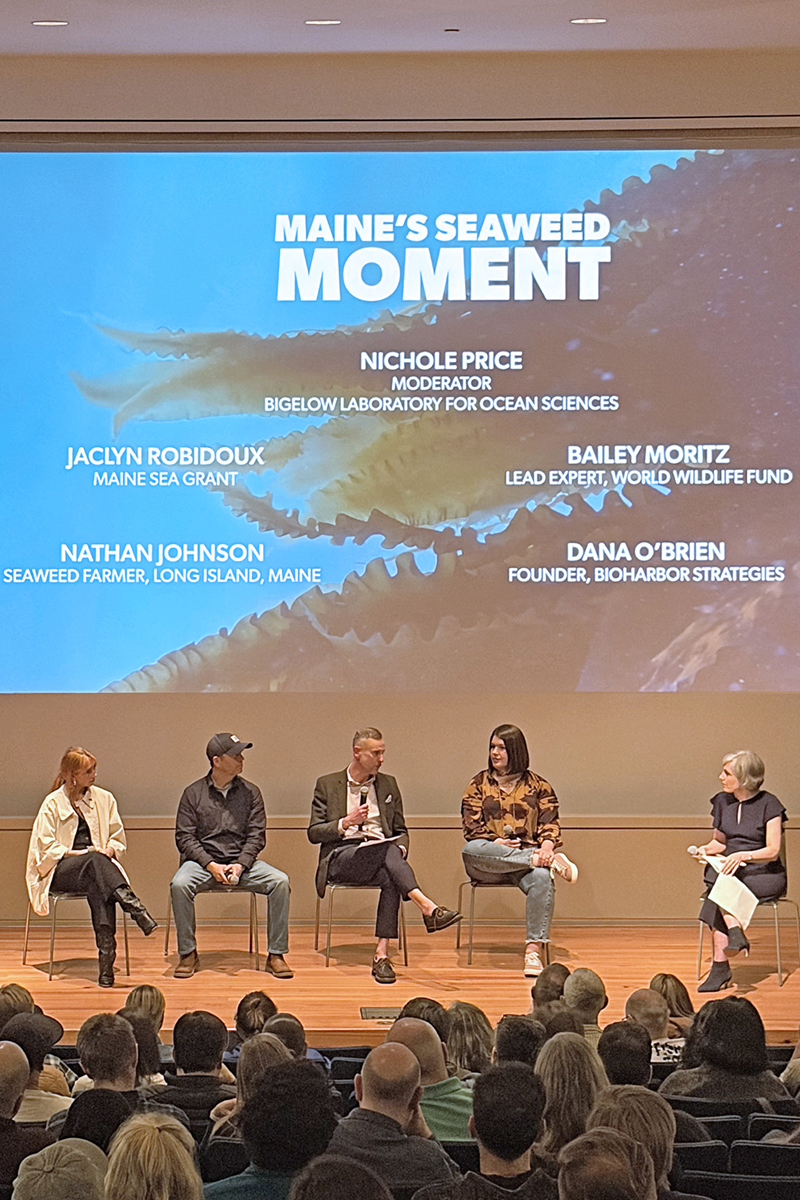 Maine's Seaweed Moment at the Maine Outdoor Film Festival