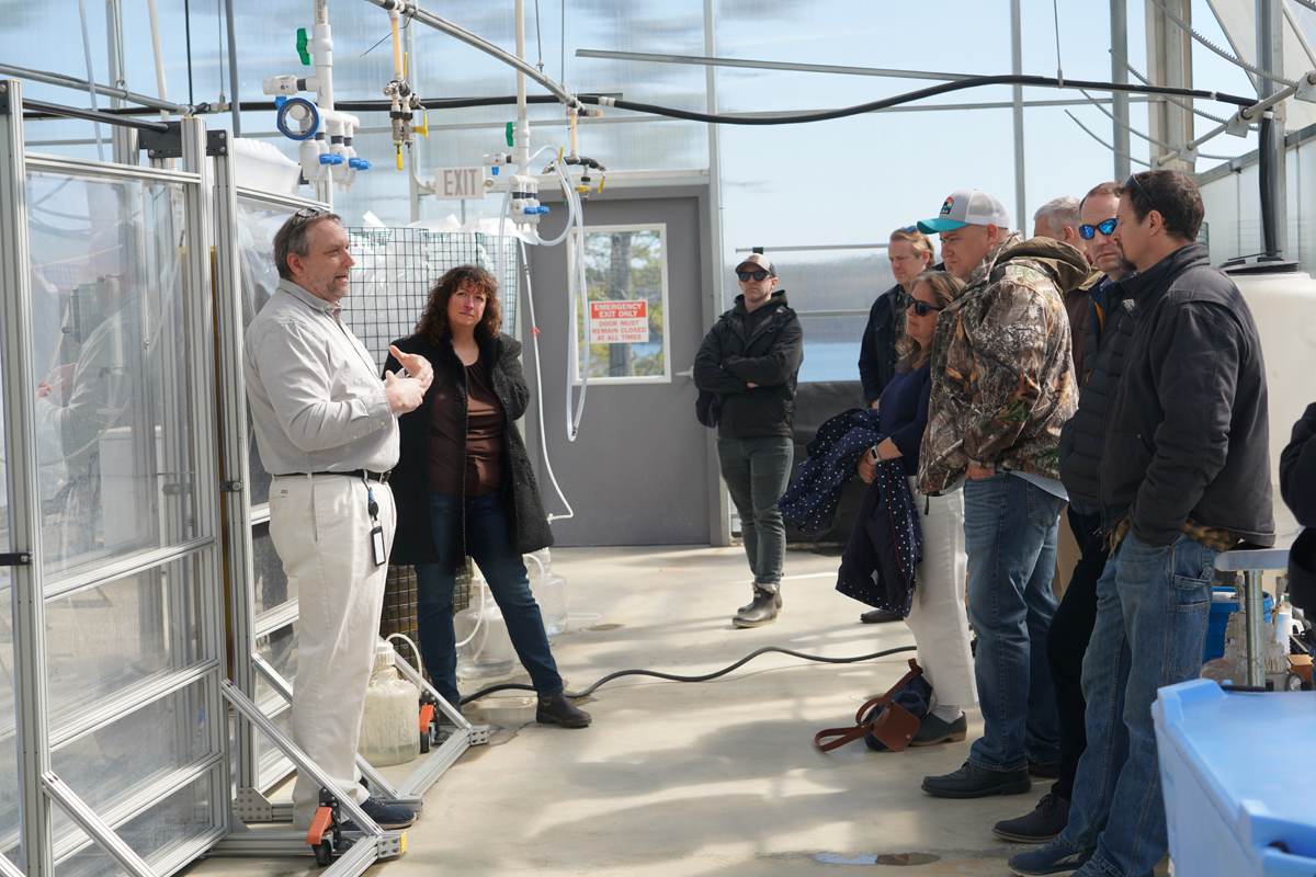 USDA colleagues tour Bigelow Laboratory's greenhouse