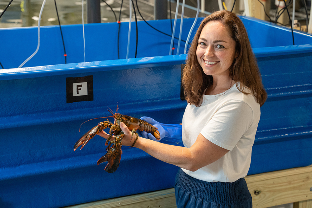 Postdoctoral scientist Melissa Rocker showcases epizootic shell disease in lobster