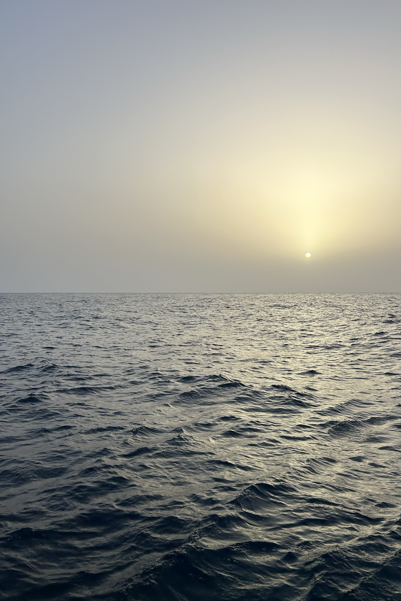 Iron-laden Sahara dust over the ocean