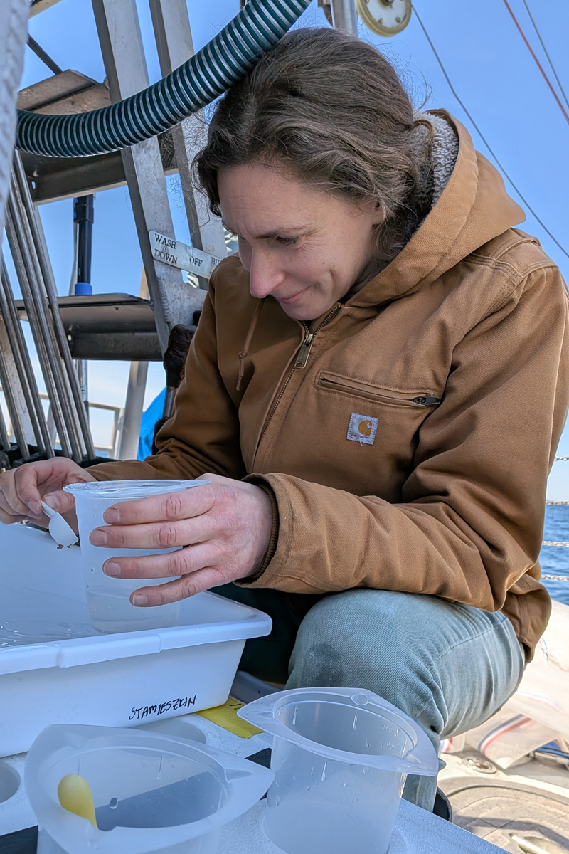 Senior Research Scientist Karen Stamieszkin