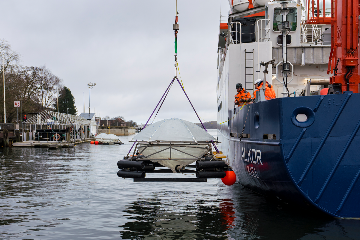 OAE mesocosms