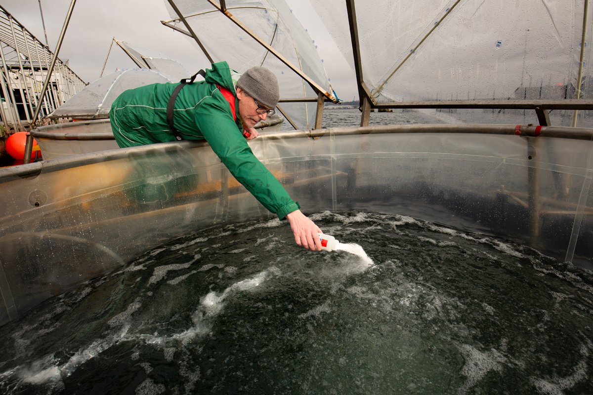 Testing an ocean antacid