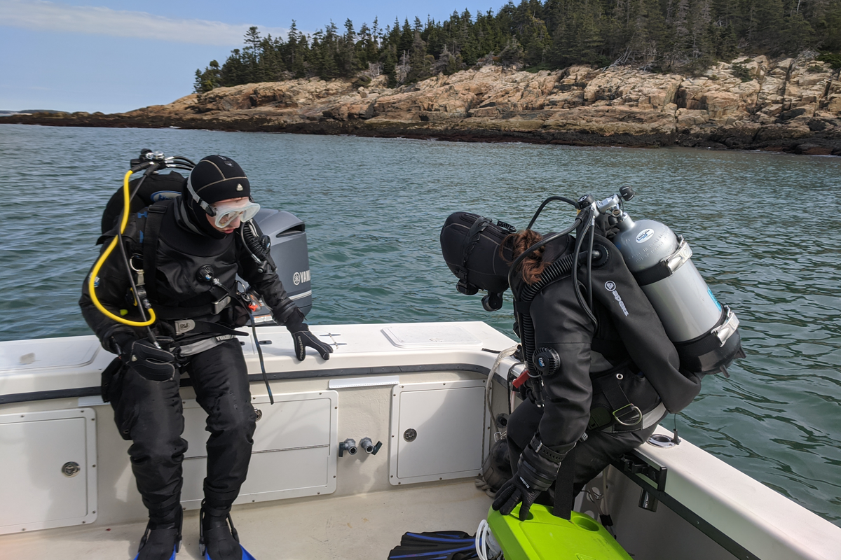 Preparing to dive for kelp samples
