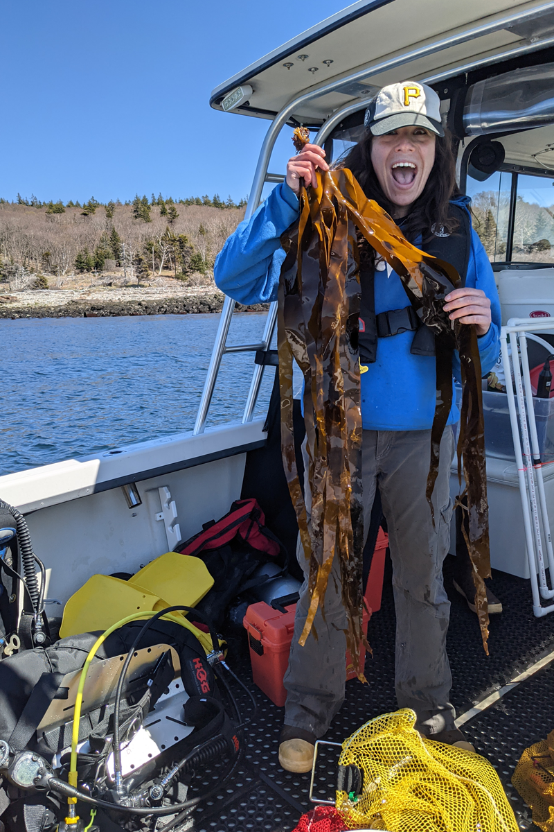 Rene Francolini poses with kelp sample