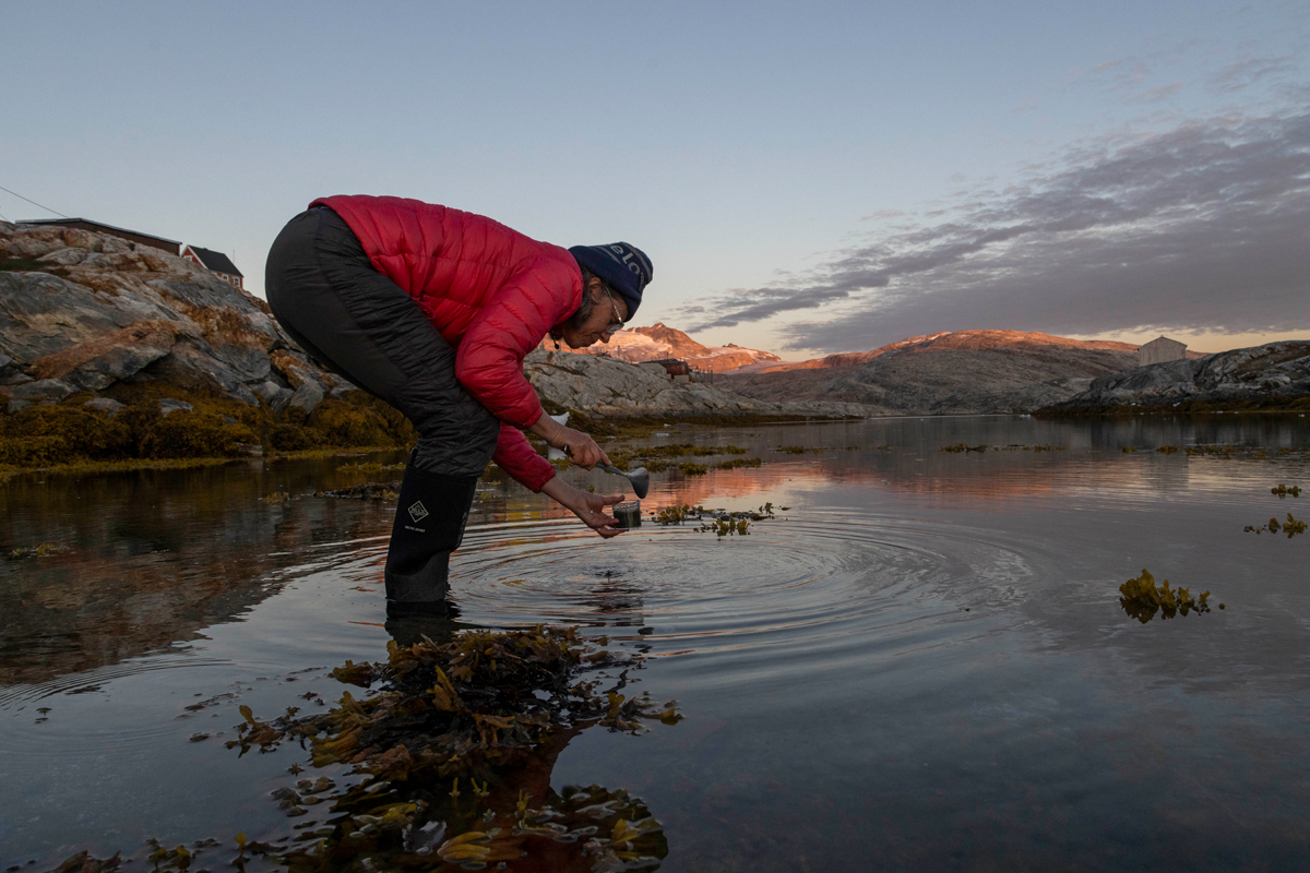 SRS Emerita Paty Matrai collecting a sample in Greenland