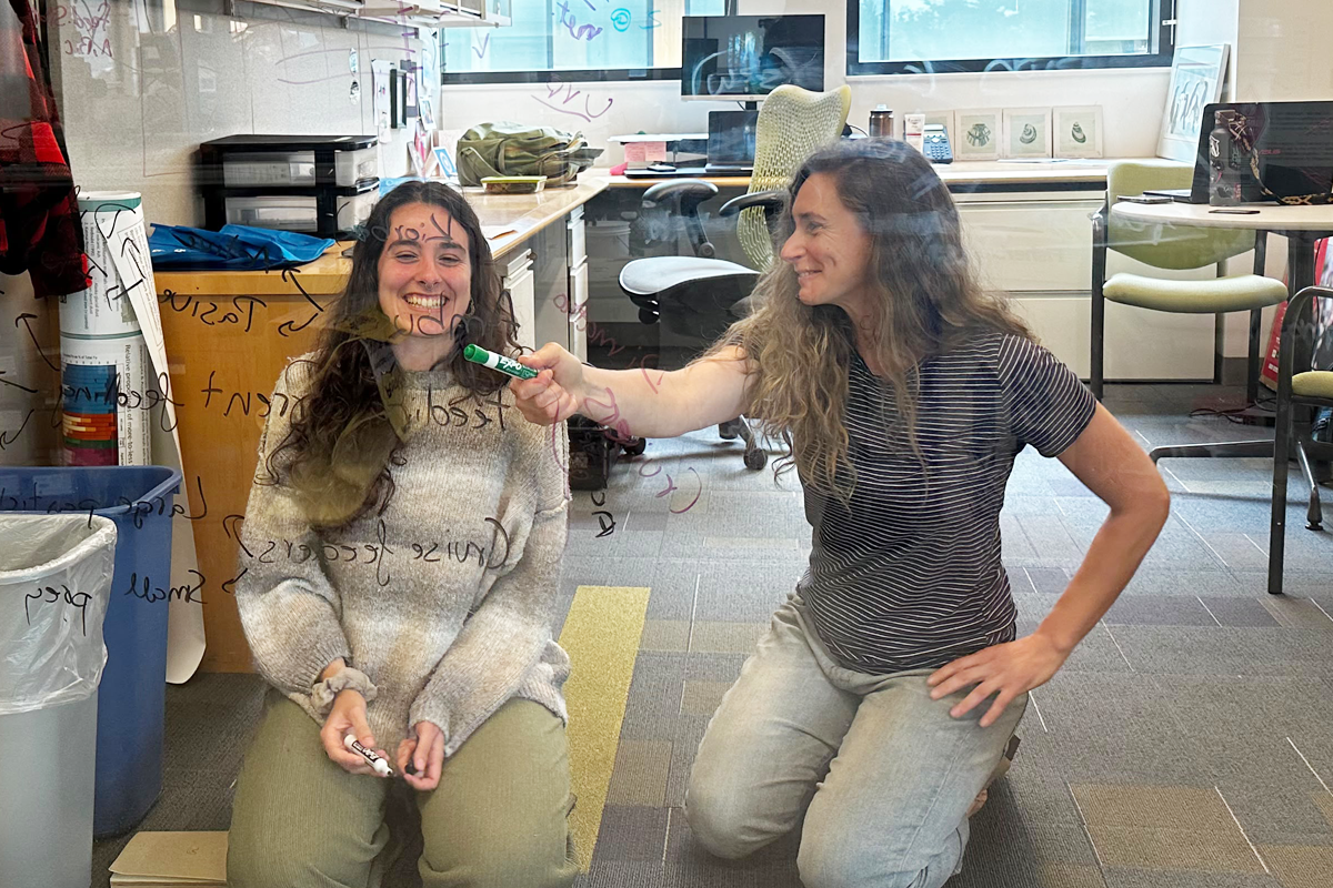 Rodríguez and Stamieszkin analyze data on a glass wall in Bigelow Laboratory