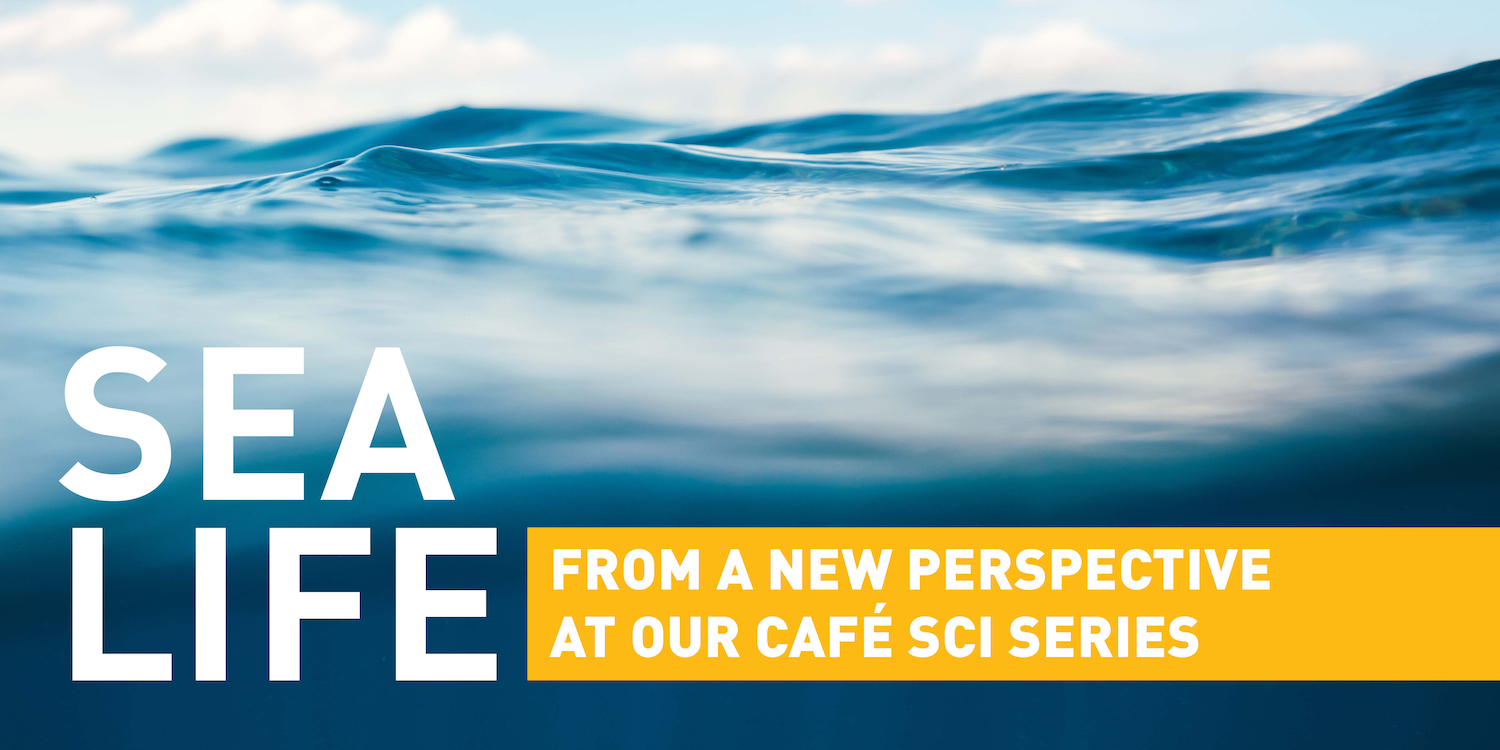Sea Life: From a New Perspective at our Cafe Sci Series