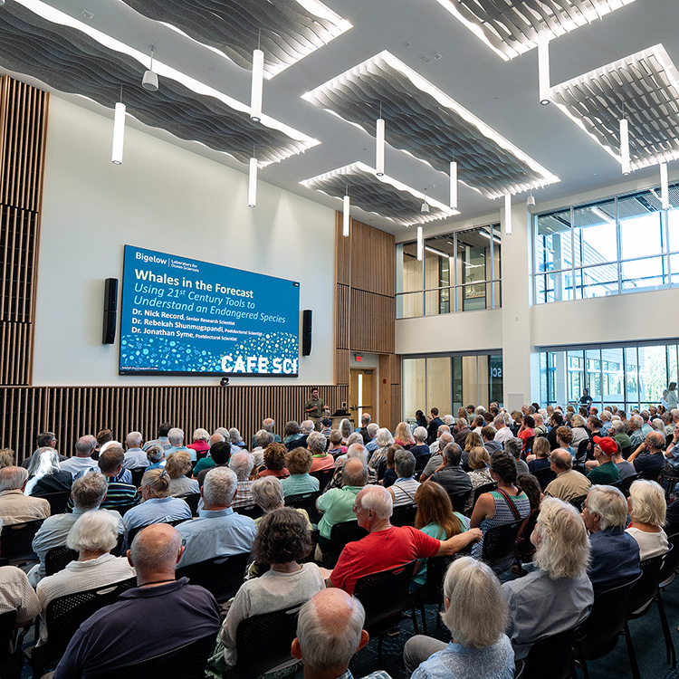 Educational programs at Bigelow Laboratory