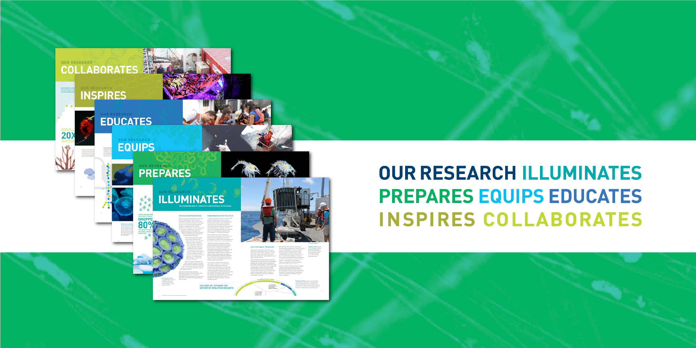 Bigelow Laboratory for Ocean Sciences