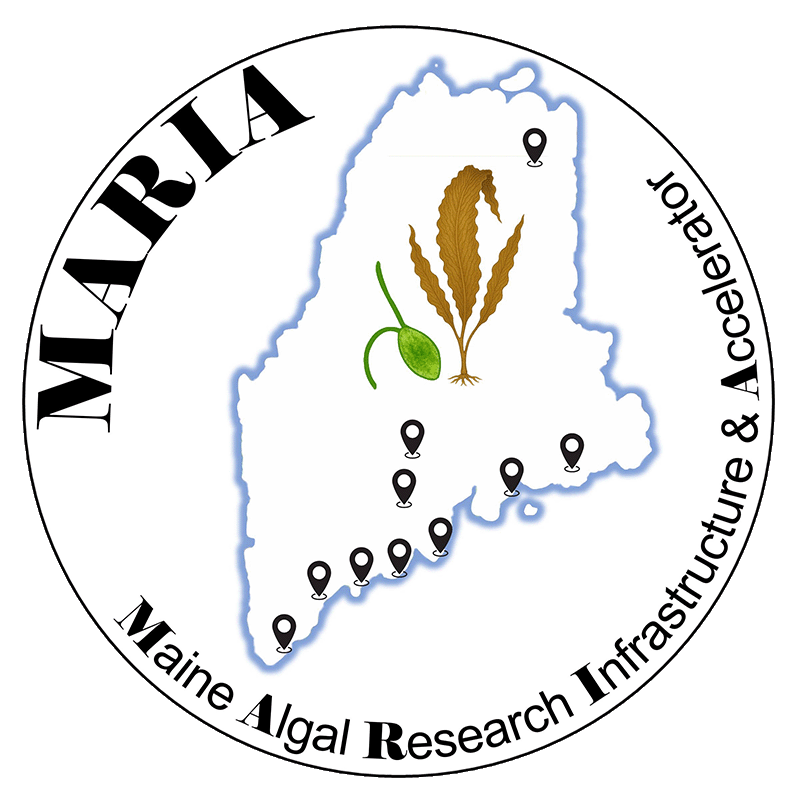 MARIA logo