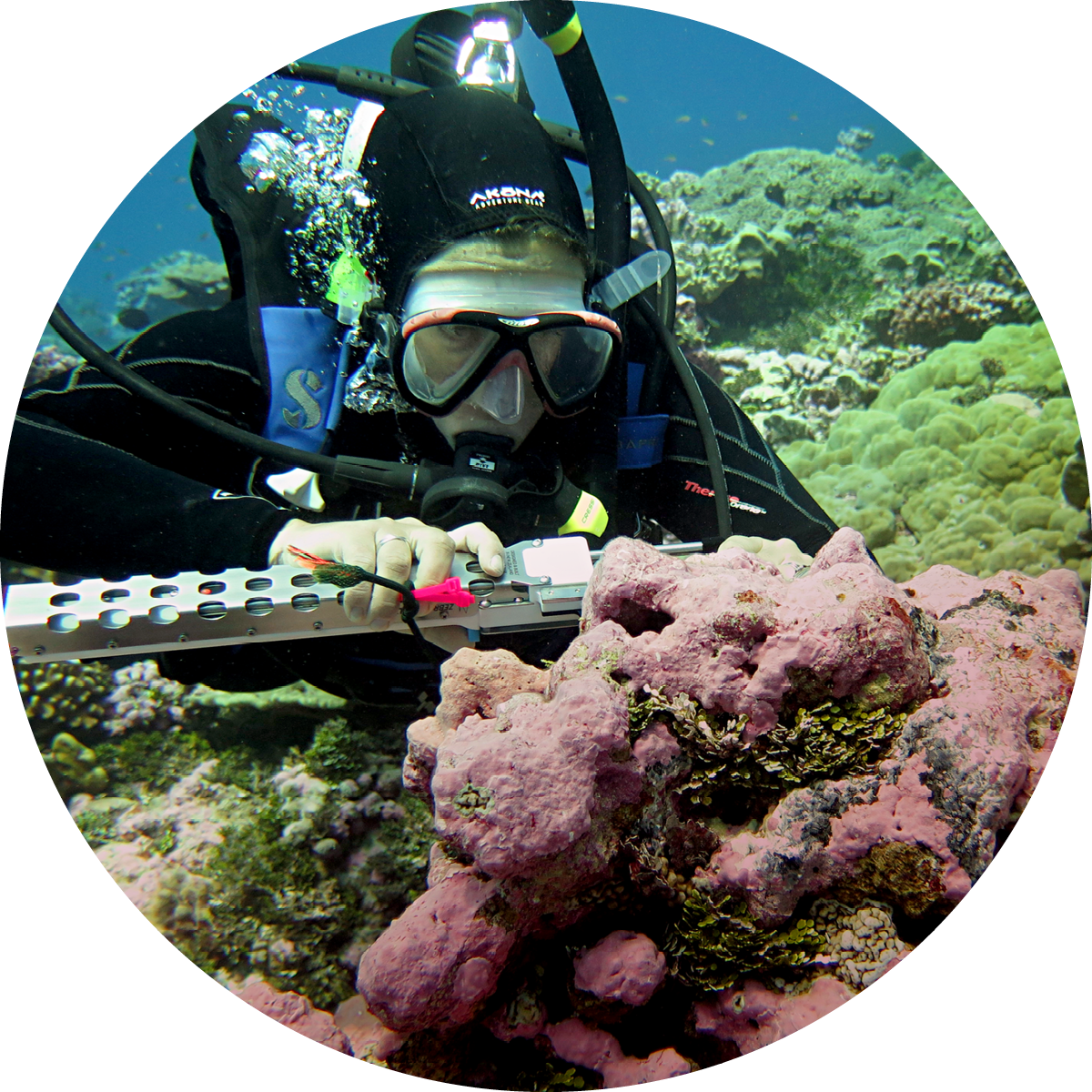 Scuba diver performing an experiment underwater.