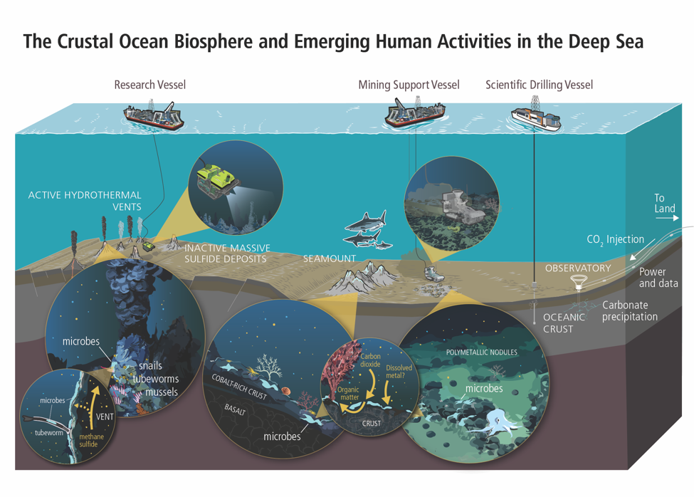 crustal ocean biosphere diagram