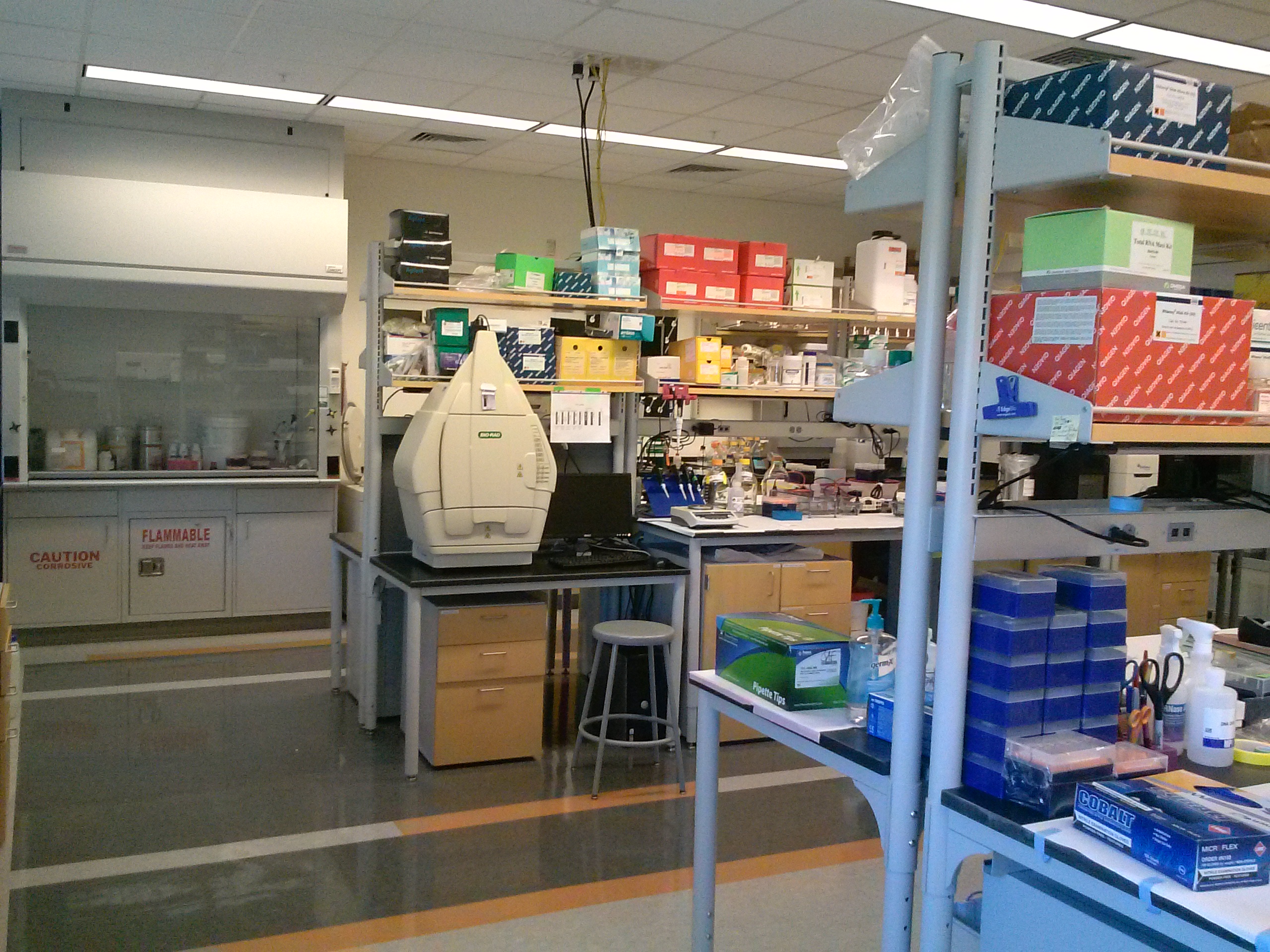 laboratory